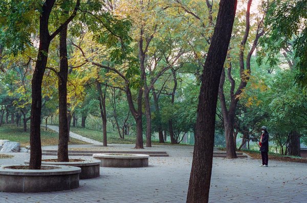 Qual è l'impatto del fumo passivo sulla gravidanza?